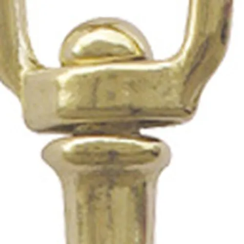 Karabiner-Schlüsselanhänger in Nahaufnahme