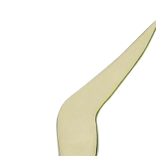 Wandhänger - Möwe – Detail der Oberfläche