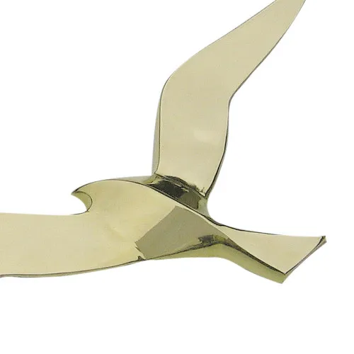 Wandhänger - Möwe in Nahaufnahme