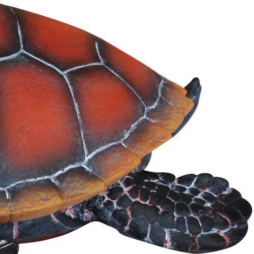 Schildkröte in Nahaufnahme