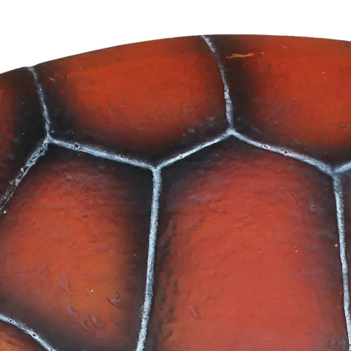 Schildkröte – Detail der Oberfläche