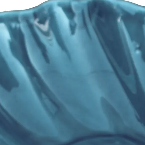 Schale - Muschel – Detail der Oberfläche