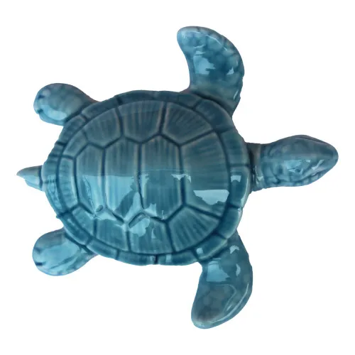 Detailansicht von Schildkröte