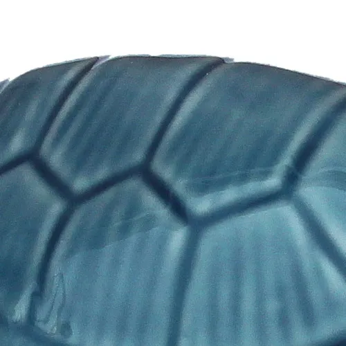 Schildkröte – Detail der Oberfläche