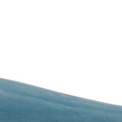 Wal – Detail der Oberfläche