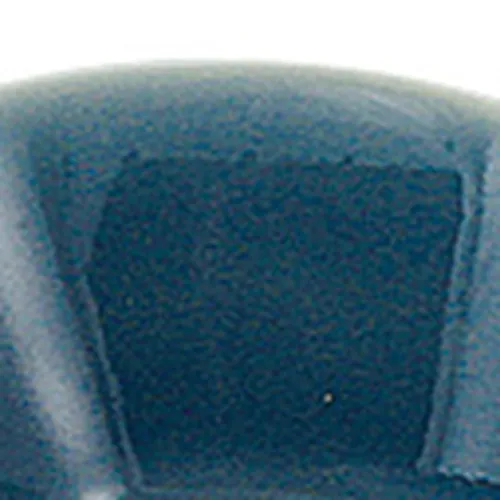 Schälchen - Fisch – Detail der Oberfläche