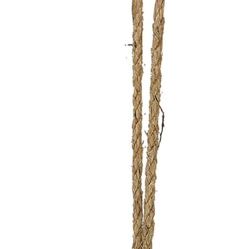 Detailansicht von Fisch