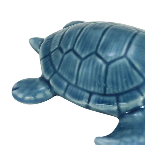 Detailansicht von Schildkröte