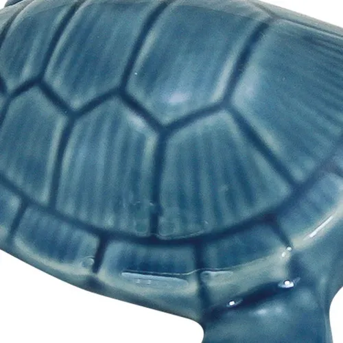 Schildkröte – weitere Ansicht
