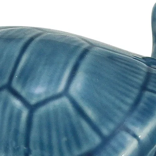 Schildkröte – Detail der Oberfläche