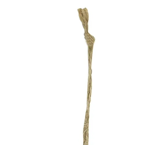 Detailansicht von Grätenfisch