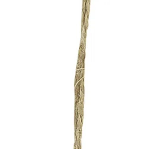 Grätenfisch – Detail der Oberfläche