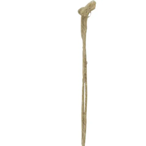 Detailansicht von Grätenfisch
