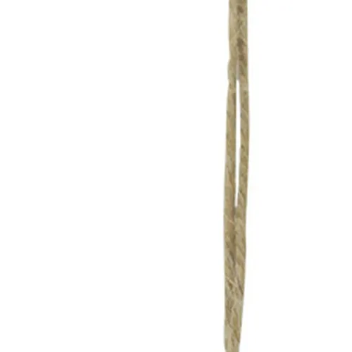 Grätenfisch – Detail der Oberfläche