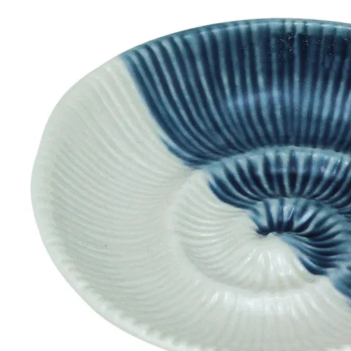 Detailansicht von Schnecken-Schale