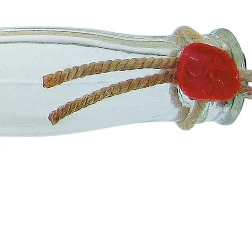 Flaschenschiff - Passat in Nahaufnahme