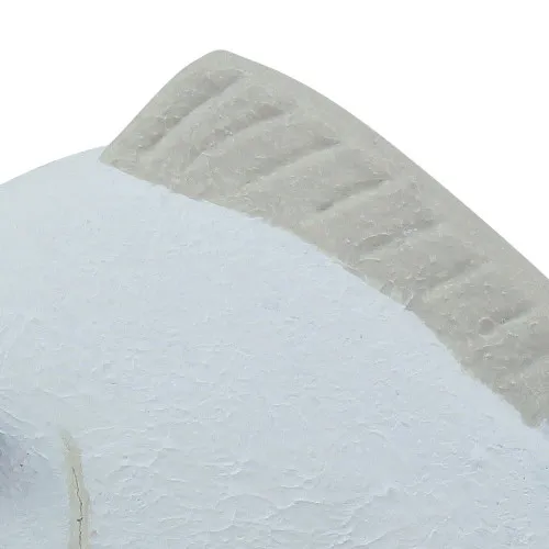 Fisch – Detail der Oberfläche