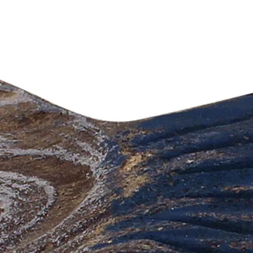 Schalen - Fisch – Detail der Oberfläche