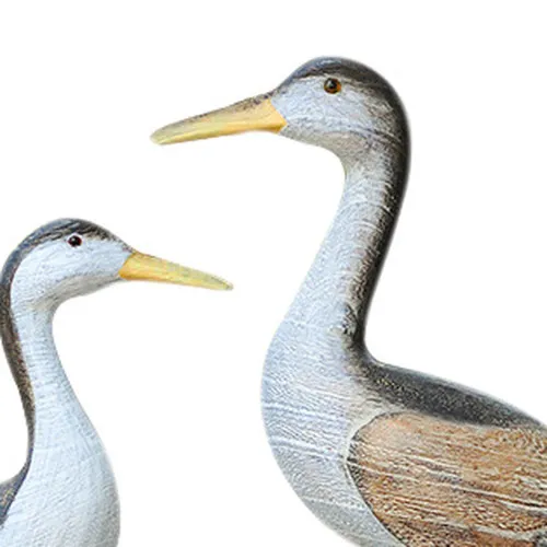 Vögel – Detail der Oberfläche