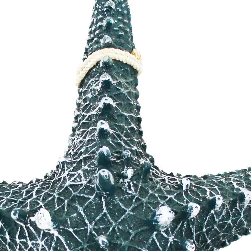 Seestern – Detail der Oberfläche