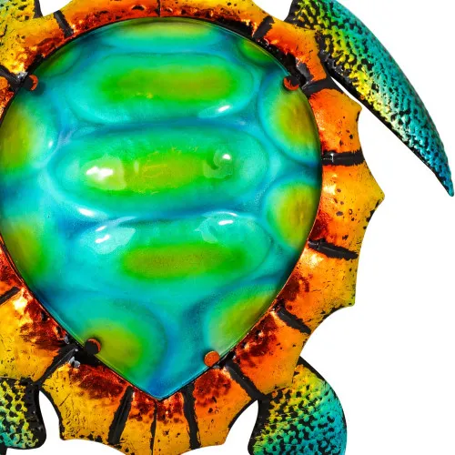 Wandhänger-Schildkröte in Nahaufnahme