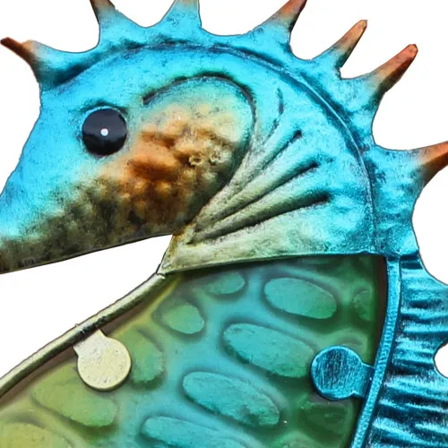 Seepferdchen – Detail der Oberfläche