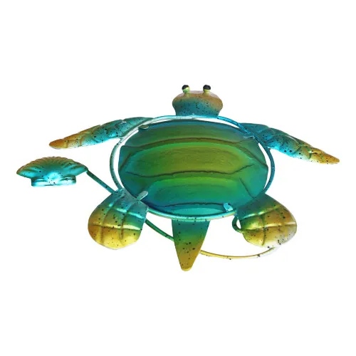 Detailansicht von Schildkröte