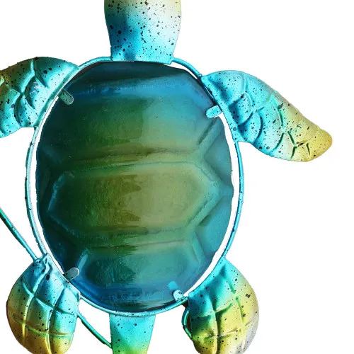 Schildkröte in Nahaufnahme
