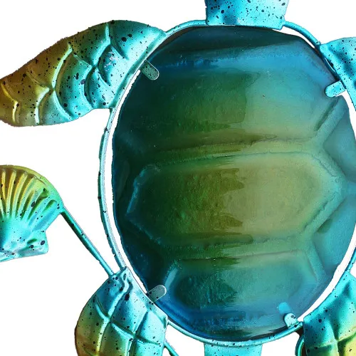 Schildkröte – weitere Ansicht