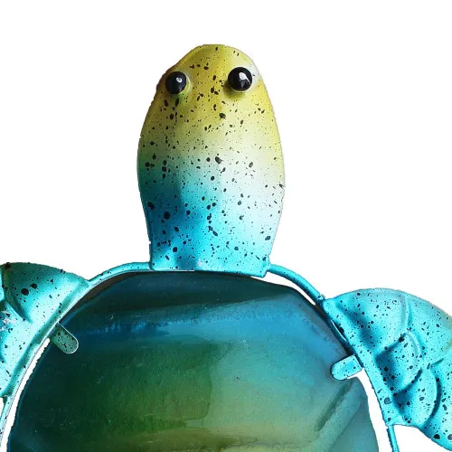 Schildkröte – Detail der Oberfläche