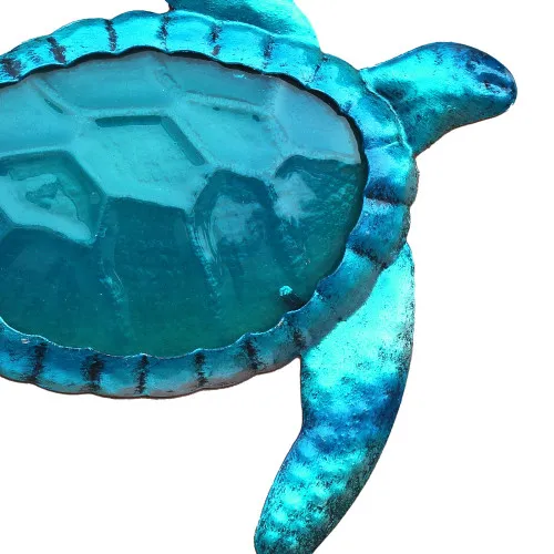 Schildkröte in Nahaufnahme