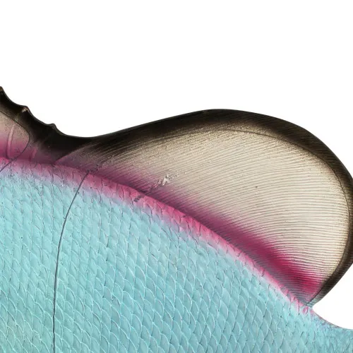 Deko-Fisch – Detail der Oberfläche