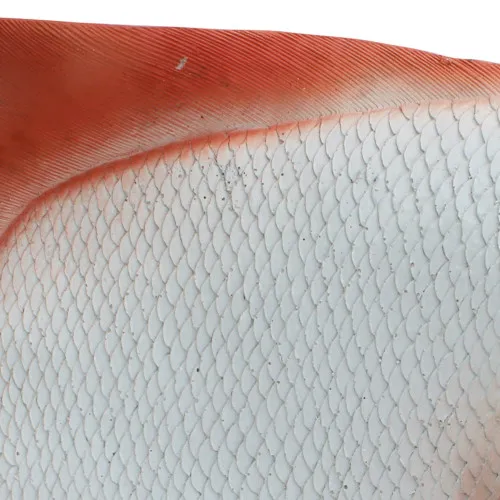 Deko-Fisch – Detail der Oberfläche