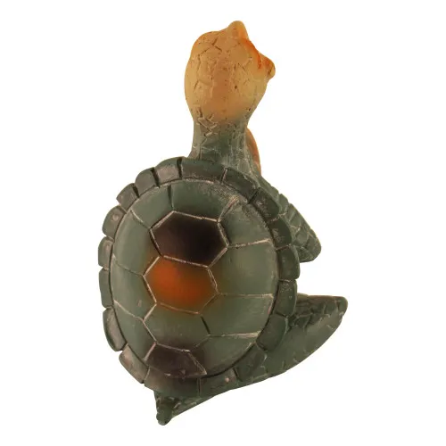 Detailansicht von Betende Schildkröte