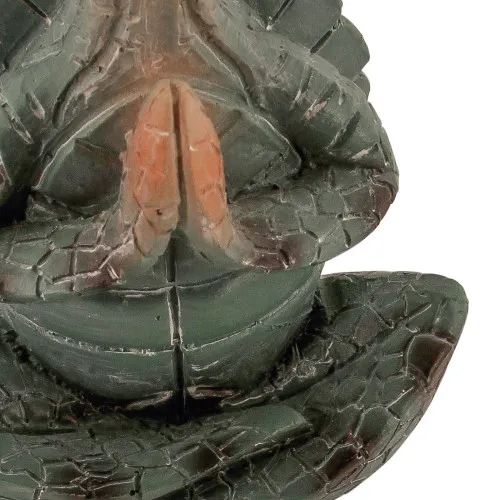 Betende Schildkröte in Nahaufnahme