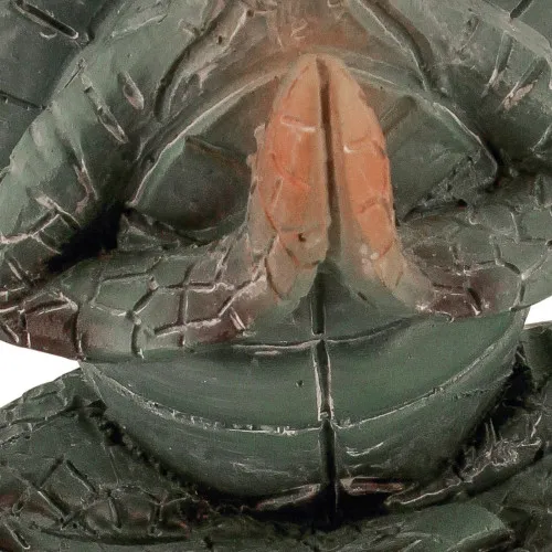 Betende Schildkröte – weitere Ansicht