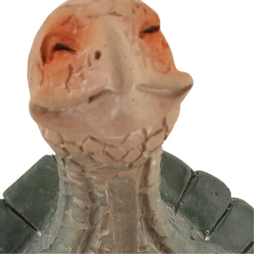 Betende Schildkröte – Detail der Oberfläche