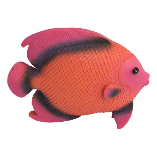 Wandhänger - Fisch in Nahaufnahme