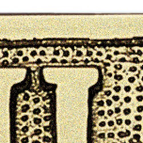 Türschild TOILETTES – Detail der Oberfläche