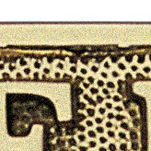 Türschild SALLE DE BAIN – Detail der Oberfläche