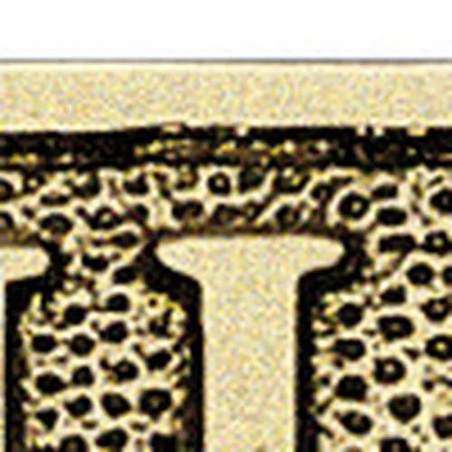 Türschild TOILET – Detail der Oberfläche