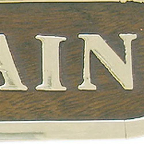 Türschild SALLE DE BAIN in Nahaufnahme