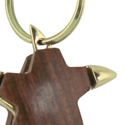 Schlüsselanhänger - Seestern in Nahaufnahme