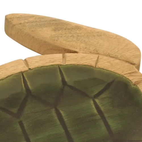 Platte - Schildkröte – Detail der Oberfläche
