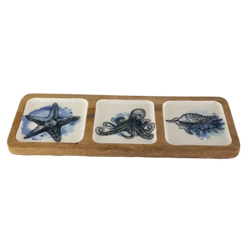 Snackschale Dipschale aus Mango-Holz 40 x 2 cm