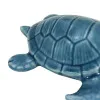 Detailansicht von Schildkröte