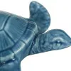 Schildkröte in Nahaufnahme