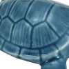 Schildkröte – weitere Ansicht