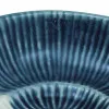 Schnecken-Schale – Detail der Oberfläche