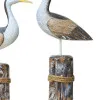 Vögel in Nahaufnahme